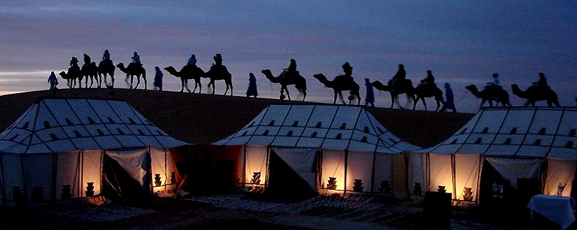 Bedouin Tent and Camel Riding, Dubai, UAE