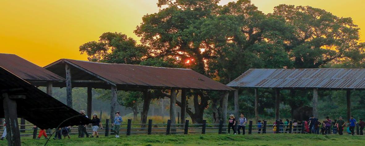 Chitwan National Park, Nepal