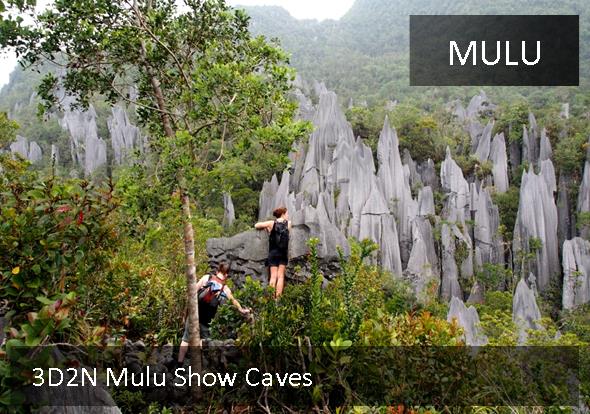 Pinnacles at Mulu UNESCO Heritage site