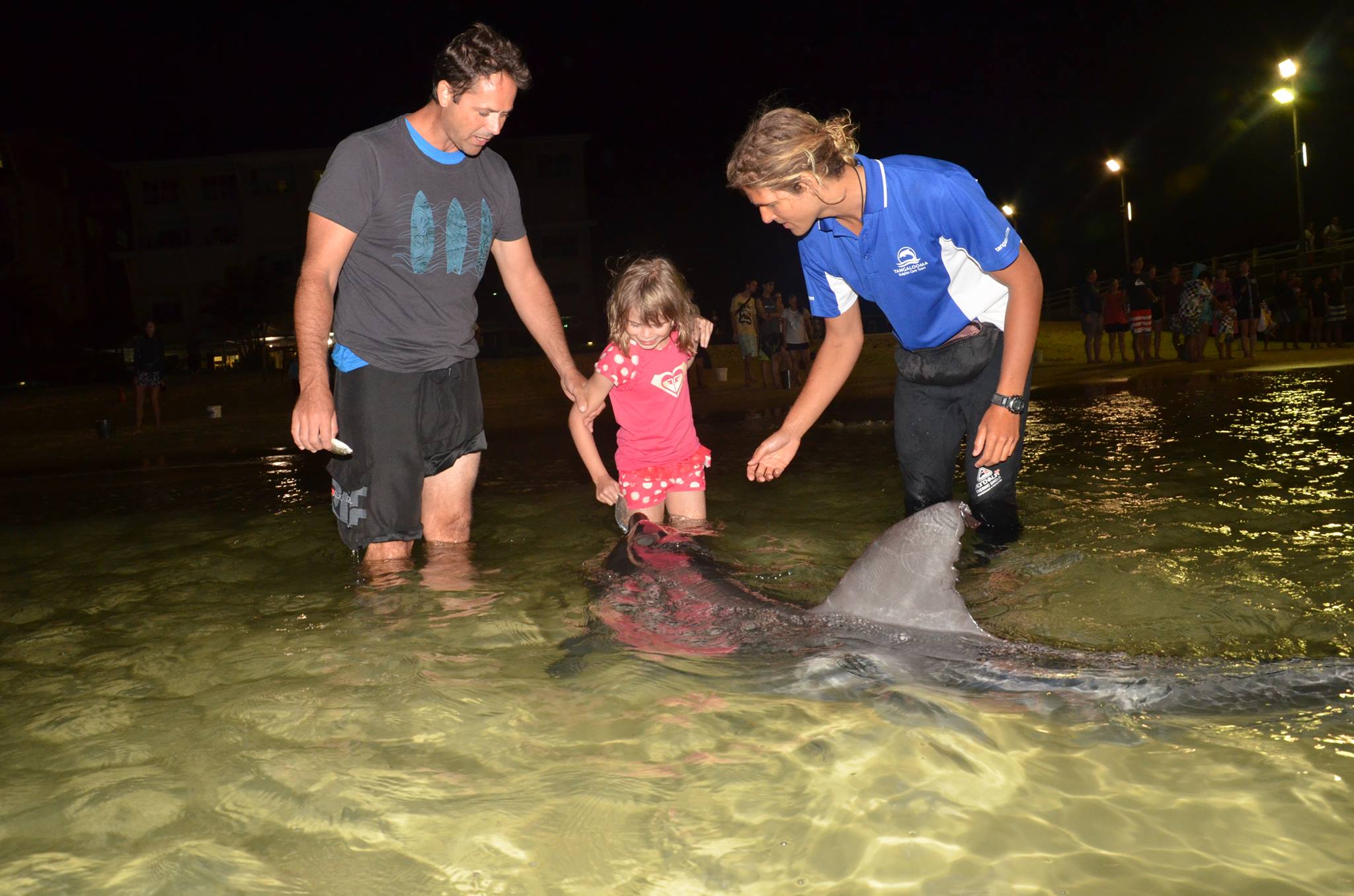 DOLPHIN FEEDING