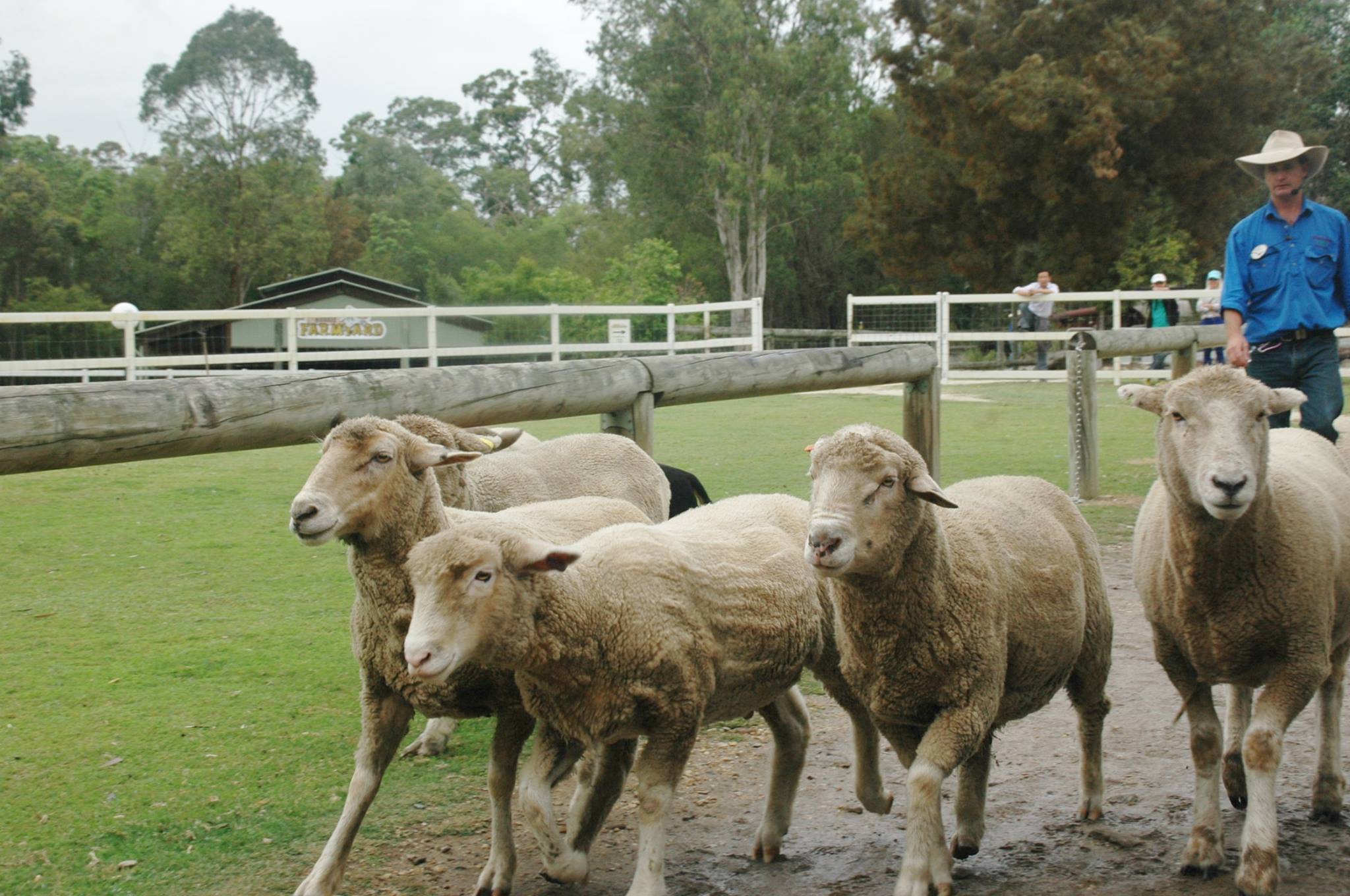 PARADISE COUNTRY FARM