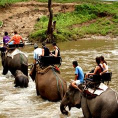 Elephant Riding, Chiang Mai